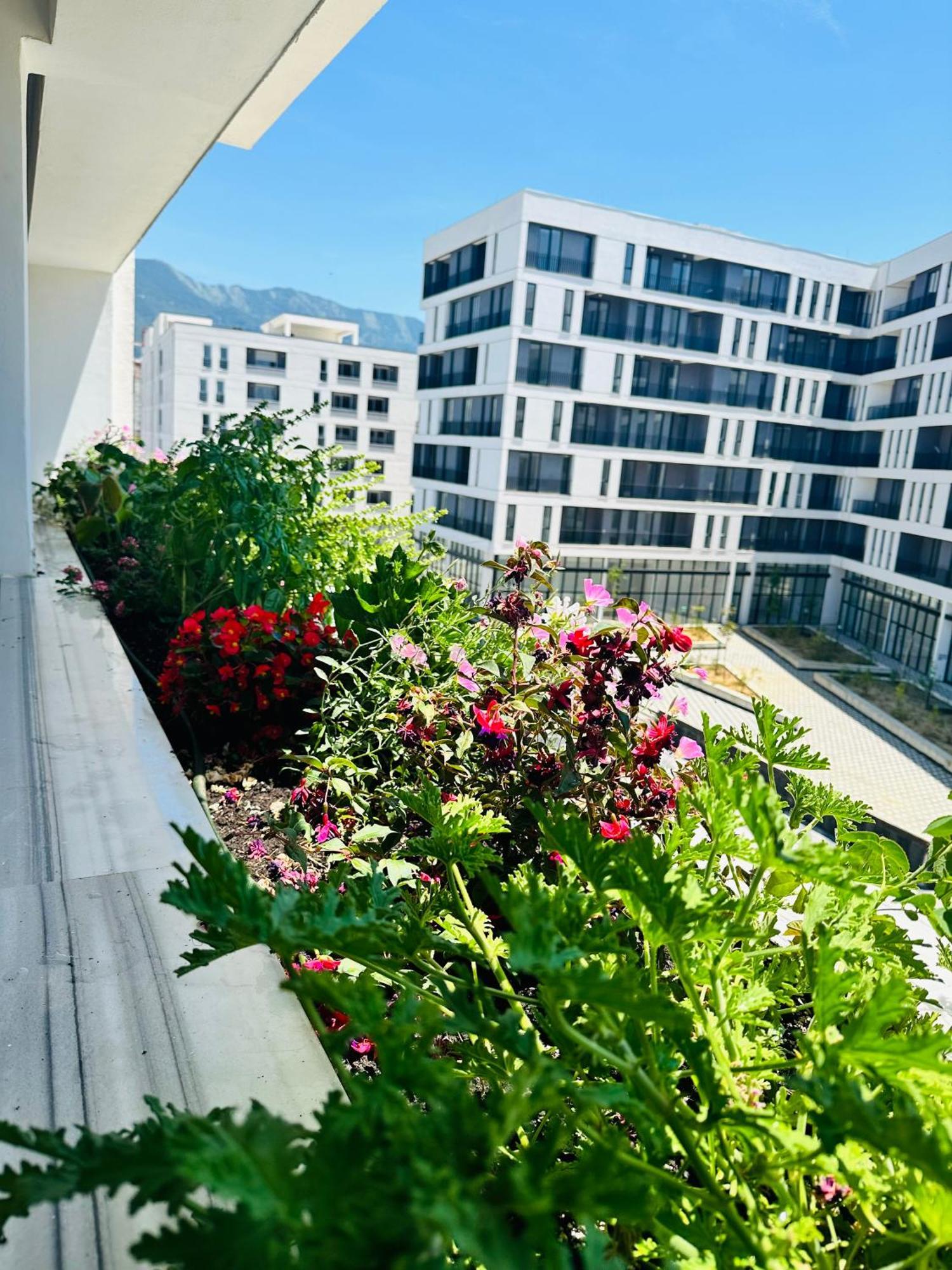 טיראנה Family Apartment מראה חיצוני תמונה